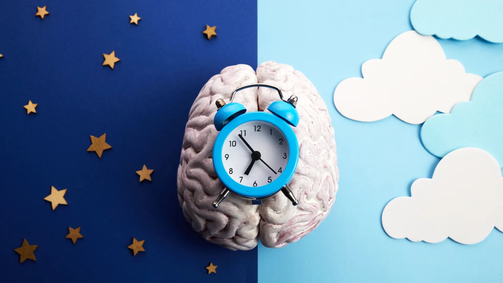 Seu corpo, seu sono e os ciclos circadianos: Se você quer dormir bem, precisa ler isso