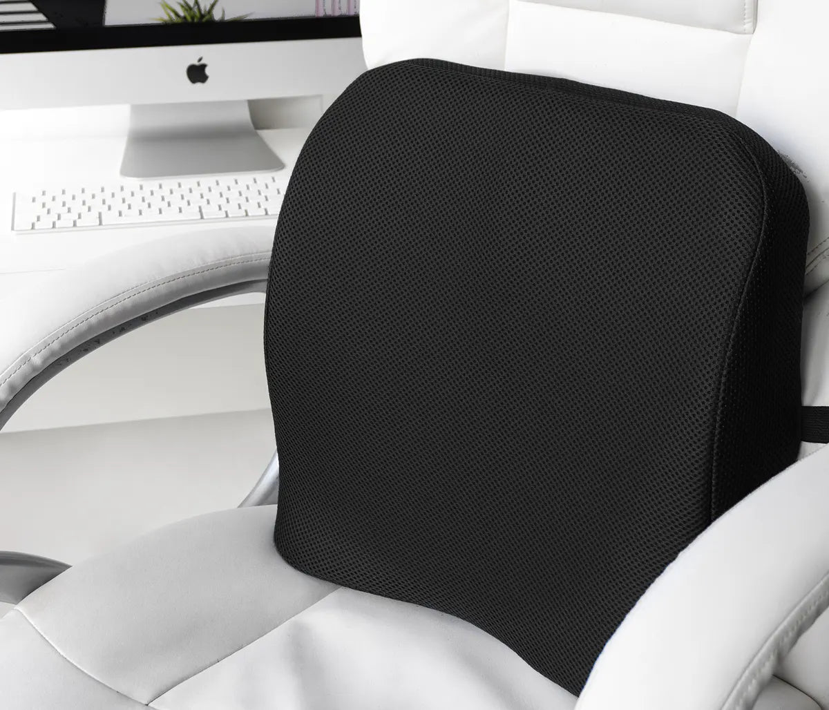 Qual a importância da ergonomia no trabalho?