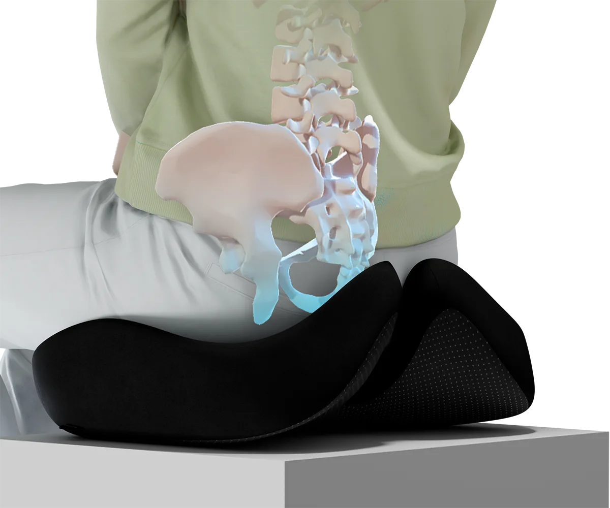 Soporte para tu espalda, coxis y caderas